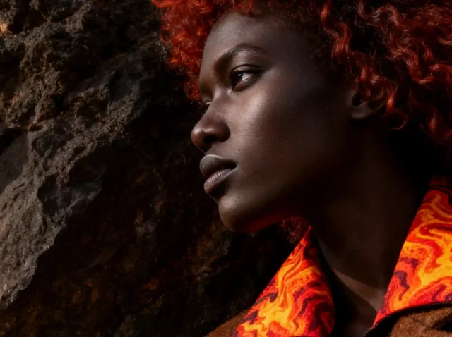 Screenshot 2025-09-11 at 18-12-56 Seedream