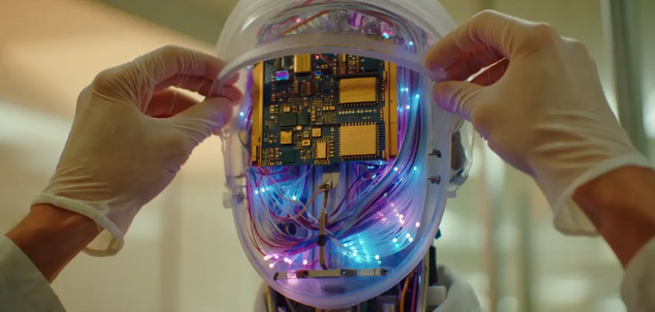 8d7acafe-bed2-4bed-9011-310143d5c0e4 8d7acafe-bed2-4bed-9011-310143d5c0e4